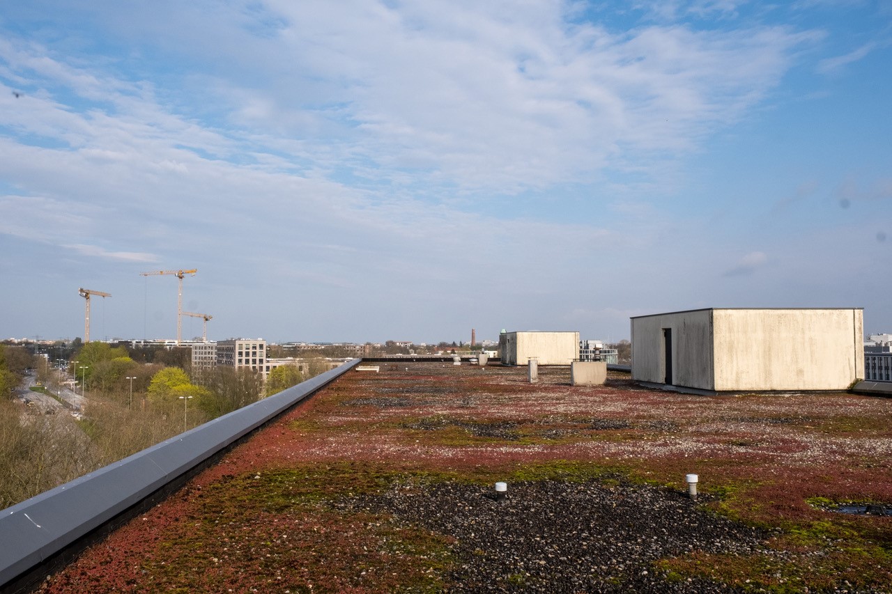 Projekte Winterhuder Landschaften Betongebirge in der City Nord
