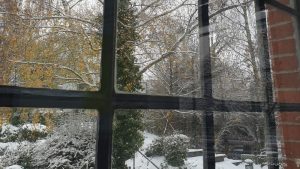 Blick auf dem Fenster auf verschneite Bäume