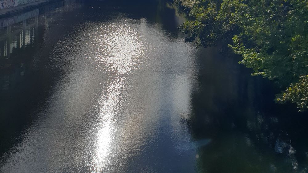 Wasser, das Sonne spiegelt und glitzert