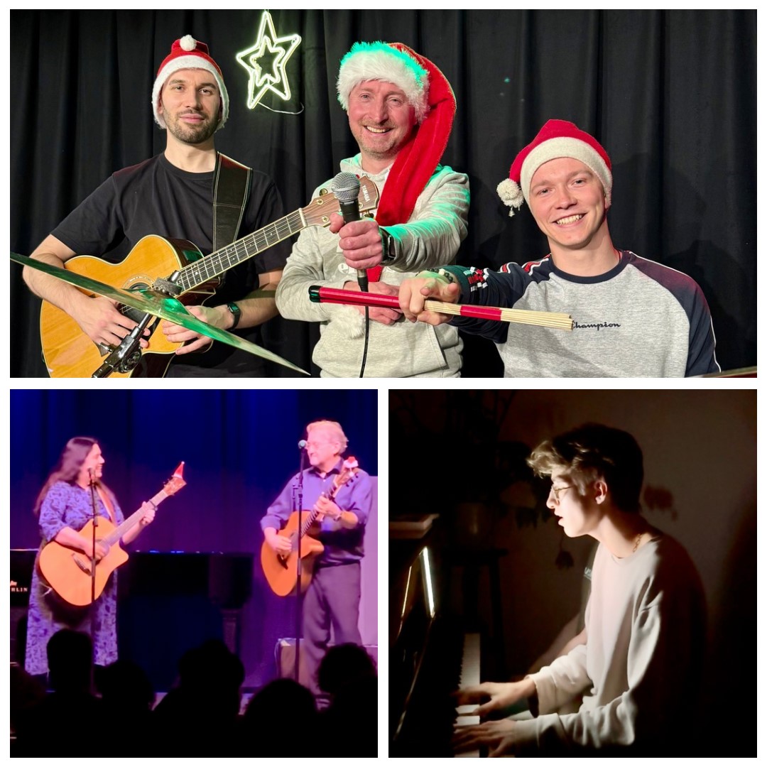 Winterhude Christmas Night