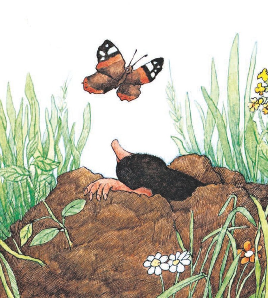 Theater Mär: Der Maulwurf Grabowski