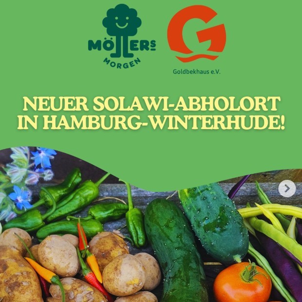 frisches Gemüse und das Logo von der SoLaWi Möllers Morgen und vom Goldbekhaus auf grünem Hintergrund