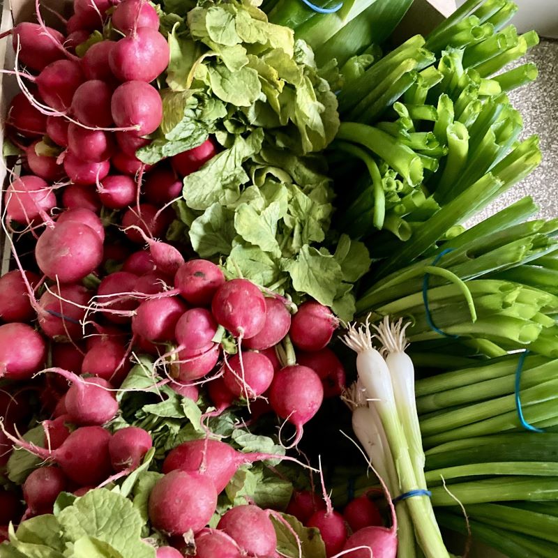 Im Kreis gedacht: foodsharing Pop-up-Lebenmittelverteilung
